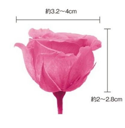 日本Earth Matters保鮮玫瑰 Rose Sara (花徑 3.2cm-4cm)(鮮黃+嫩黃+鮮橙)