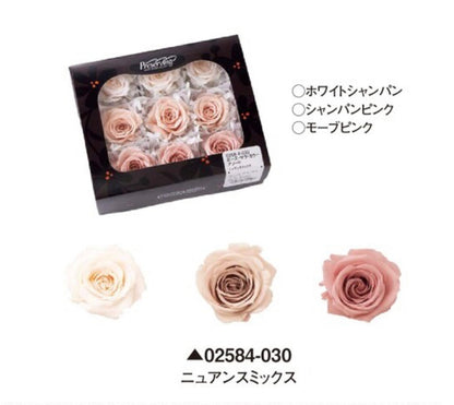 日本Earth Matters保鮮玫瑰 Rose Sara (花徑 3.2cm-4cm)(香檳白+香檳粉色+暗紫紅粉)