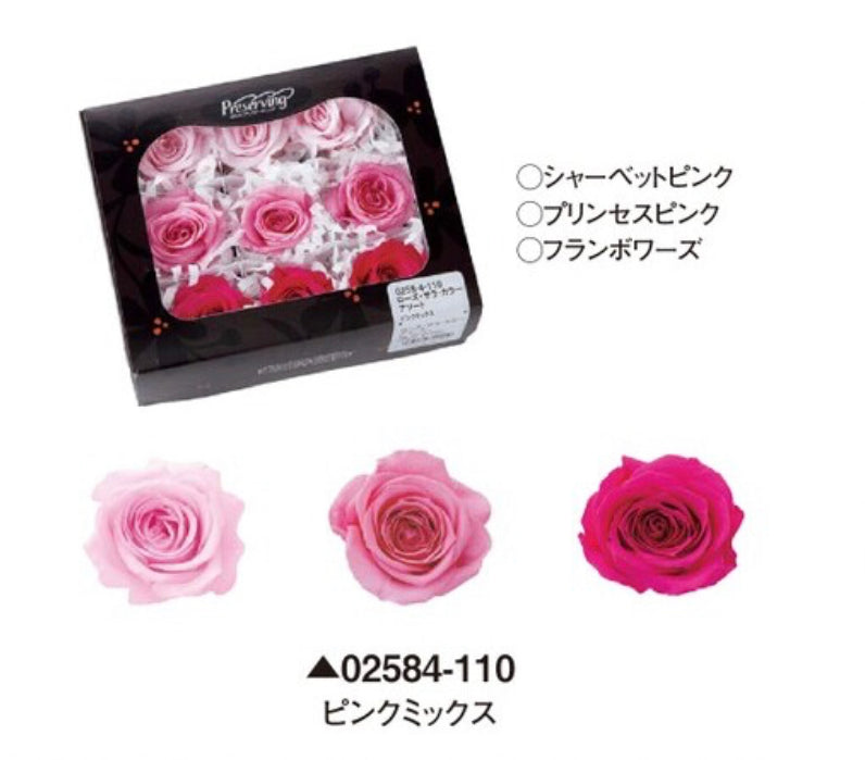 日本Earth Matters保鮮玫瑰 Rose Sara (花徑 3.2cm-4cm)(粉紅+ 公主粉+ 山莓)