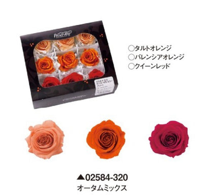 日本Earth Matters保鮮玫瑰 Rose Sara (花徑 3.2cm-4cm)(暗橙+ 皇后紅+粉啡橙)