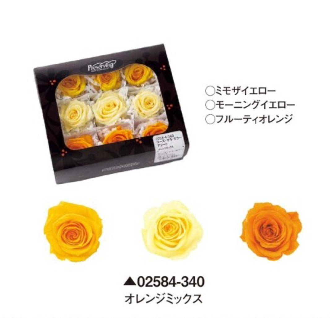 日本Earth Matters保鮮玫瑰 Rose Sara (花徑 3.2cm-4cm)(鮮黃+嫩黃+鮮橙)