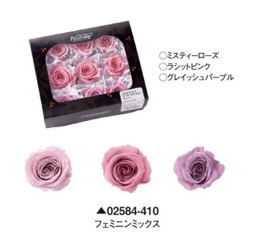 日本Earth Matters保鮮玫瑰 Rose Sara (花徑 3.2cm-4cm)(迷霧玫瑰+灰紫色+赤褐粉紅色)