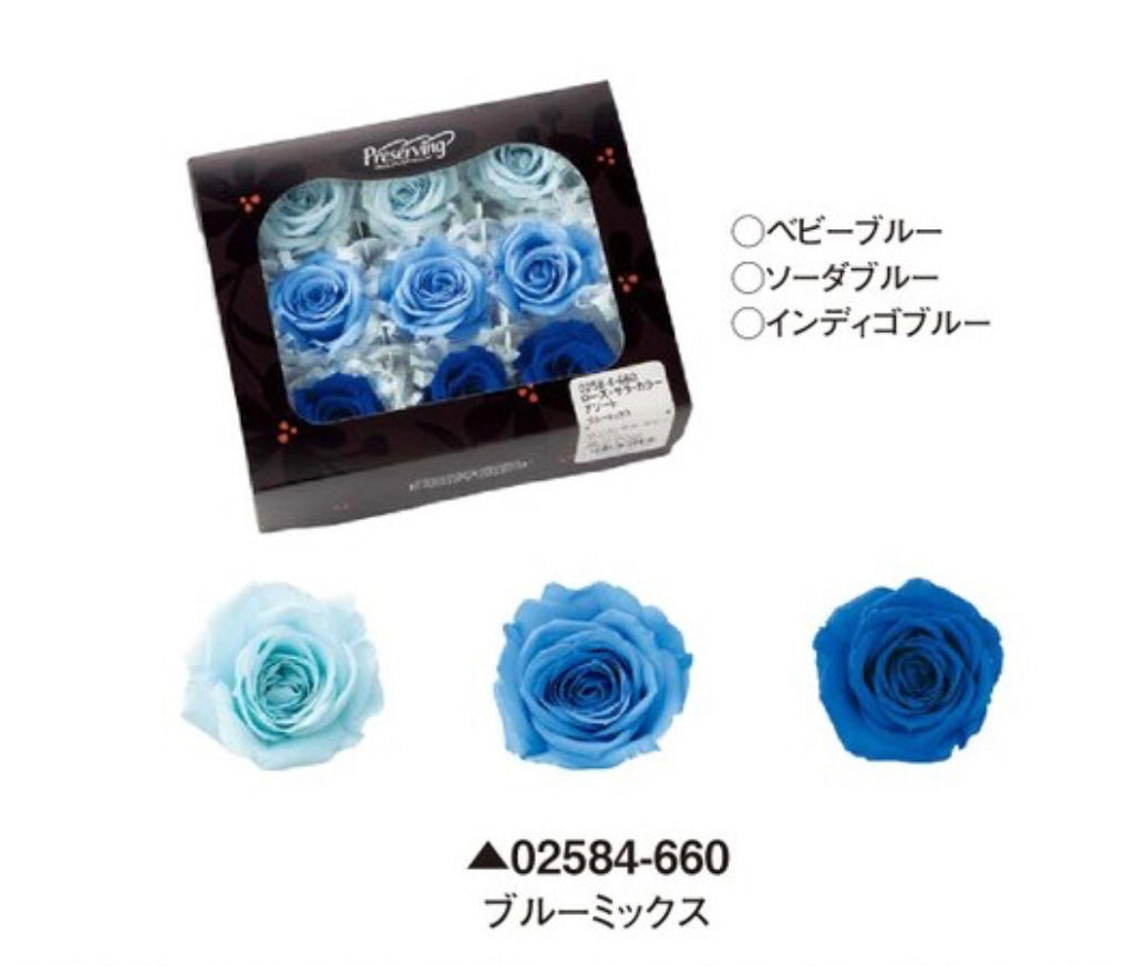 日本Earth Matters保鮮玫瑰 Rose Sara (花徑 3.2cm-4cm)(淡藍+ 彩藍+ 靛藍)