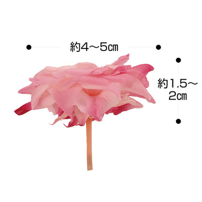 日本Earth Matters保鮮玫瑰 Rose French Marianne (花徑 4cm-5cm)(粉紅玫瑰)