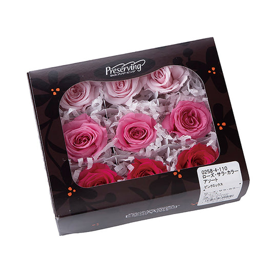 日本Earth Matters保鮮玫瑰 Rose Sara (花徑 3.2cm-4cm)(粉紅+ 公主粉+ 山莓)